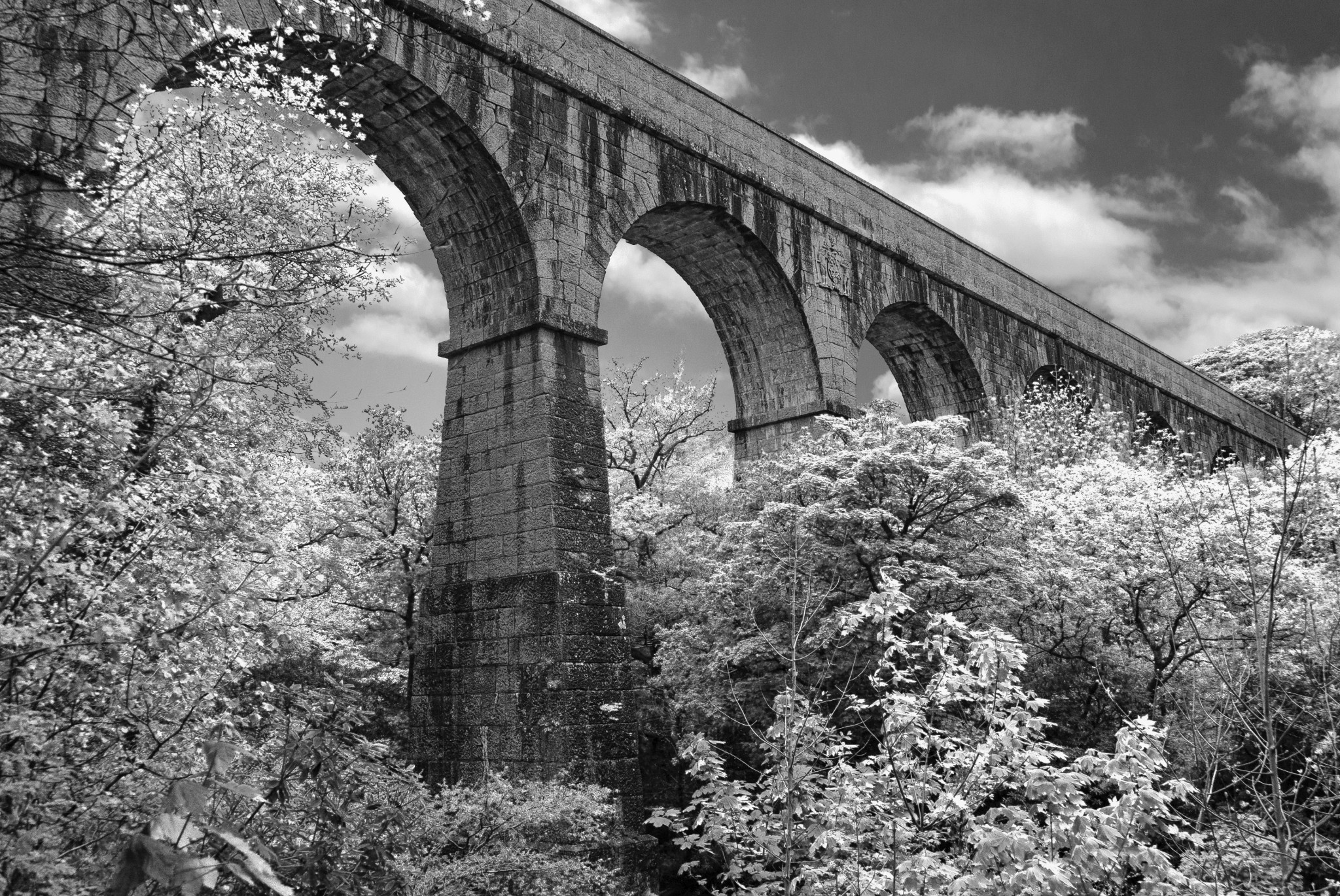 Luxulyan Valley, Treffry Viaduct Infrared
